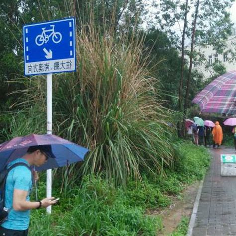 三岔路口風水